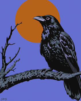 Raven On a Moonlit Branch IV