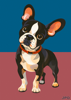Lester, French Bulldog