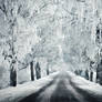 A Road Through The Winter II