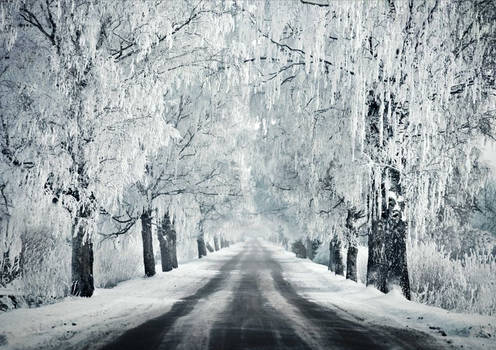 A Road Through The Winter II