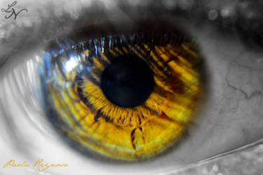 Eye Project: Impaled (re-shoot) by ShineeDragon