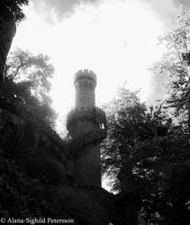 Onyris: To the Tower of Wisdom