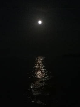 Shitty Picture of the Super Moon