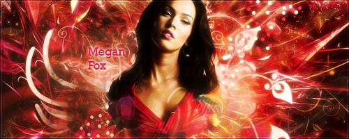 megan fox banner