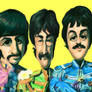 Sgt Peppers