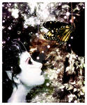 The Suicide Of The Butterfly by karemelancholia