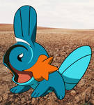 Earth Mudkips