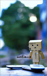 Danbo1