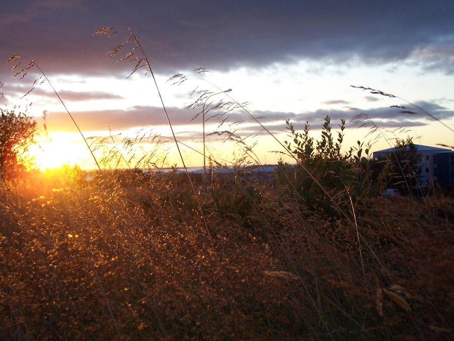 Sunset Less Low Sunset by Kristjansindri on DeviantArt