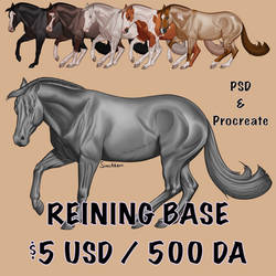 P2U Reining Base