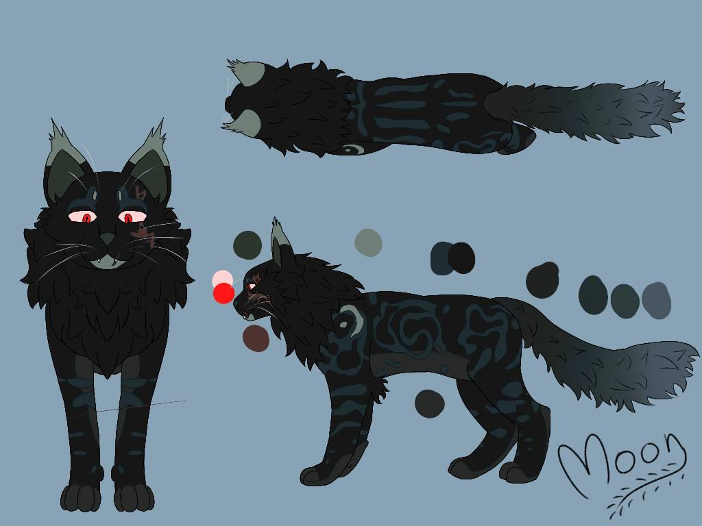 Warrior Cat OC By Shimmer moon On DeviantArt warrior-cat-oc-by-shimmer-moon-on-deviantart