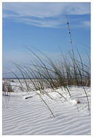 Pensacola Beach 2