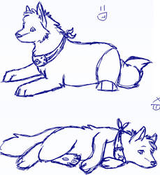 Wolf Poses?