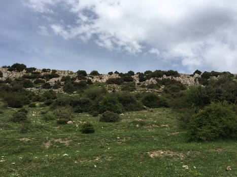 Mountain Parnitha, GREECE