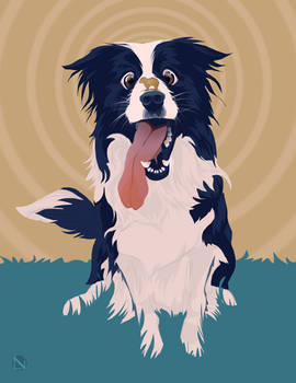 Doggust - Border Collie