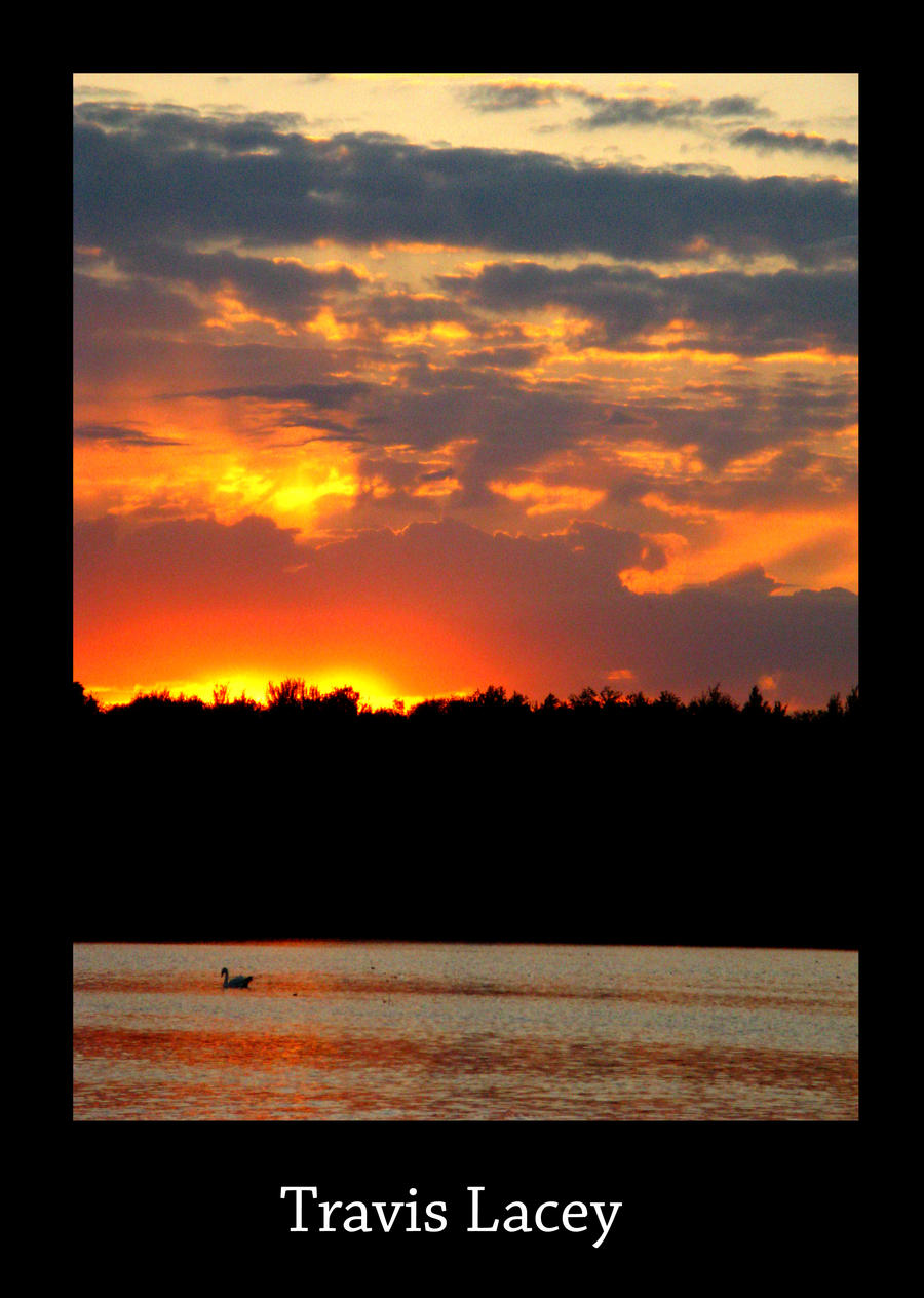 sun scape over lake