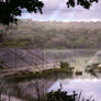 Kalamazoo overgrown stadium web