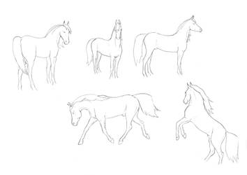 FREE LINEART - Gelding Poses