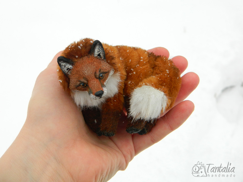 Fox for the Little Prince