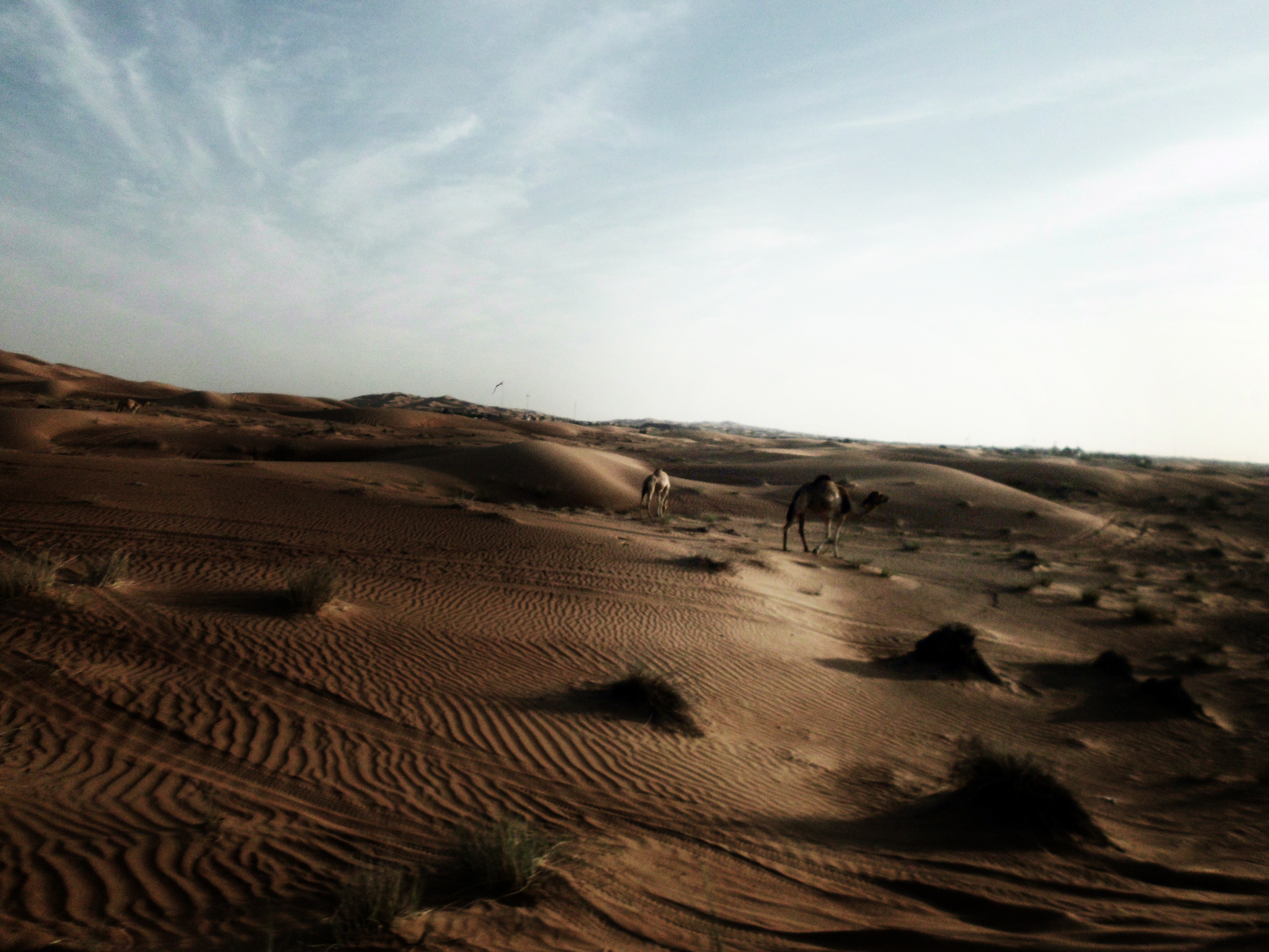 Dubai, Desert III