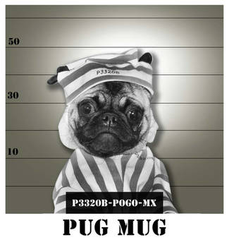 mug shot