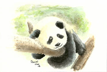 Watercolor Panda