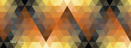 Geometric Bear Facebook Cover