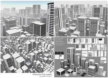 Monochro City models