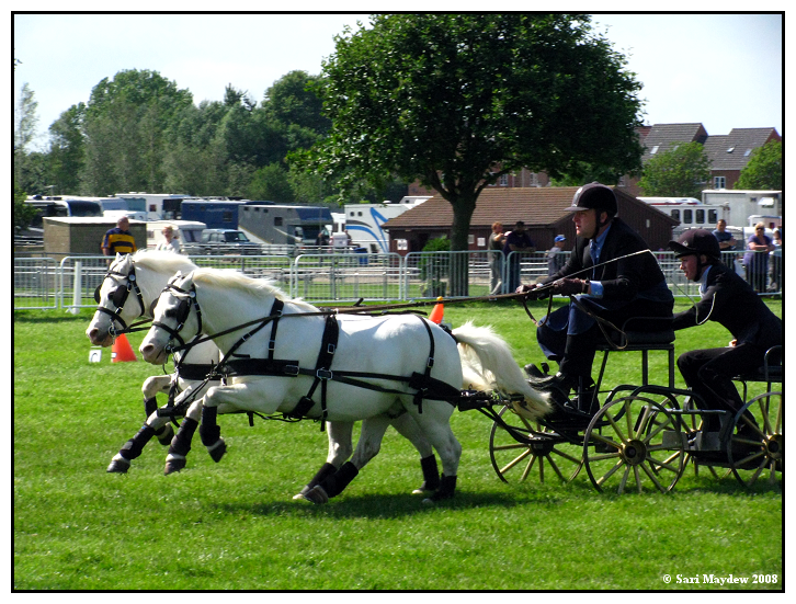 Scurry Racing