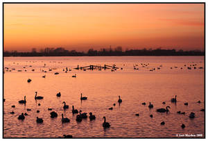 Sunset On The Flood Plain