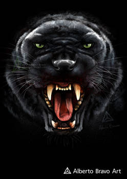 Black Panther (Wild Mode)