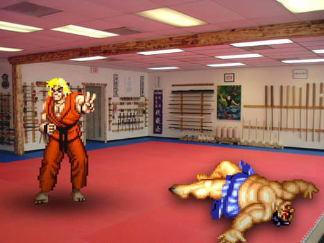 Retro Dojo 'Street Fighter'