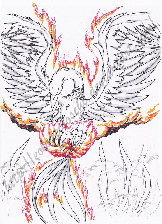 Burning Phoenix