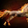 Fire horse