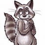 Raccoon