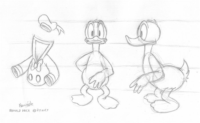 Duck reference sheet 1