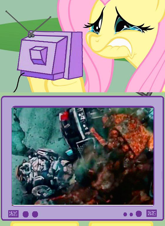 Fluttercry - Ironhide's death