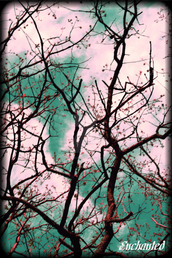 Inverted Colored Tree color altered tree by jrockaholic on DeviantArt