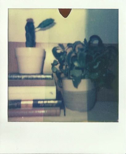 Plants and Books