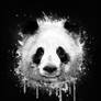 Watercolor Panda Portrait in Black and White