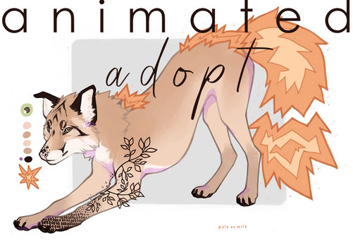 fox adopt ( auction \\ cosed )