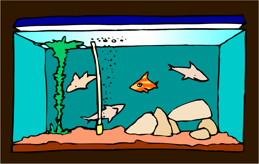 Aquarium