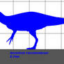 Scale Chart - Aerosteon riocoloradense