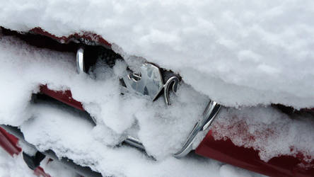 Peugeot Under Snow