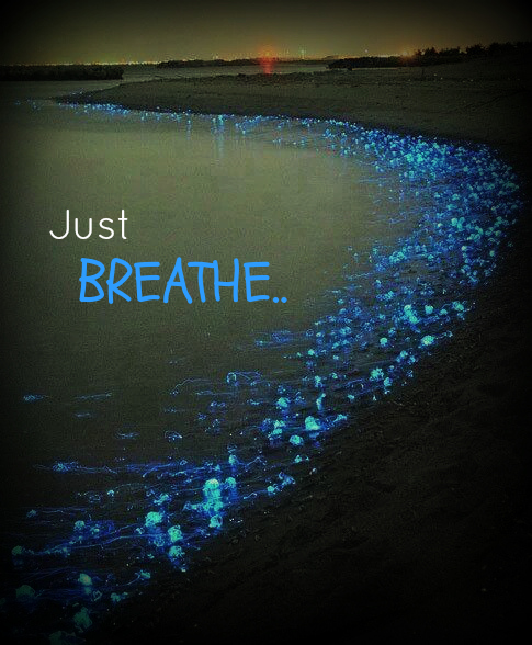pic Just Breathe Wallpaper Desktop just breathe wallpaper by thespeed179