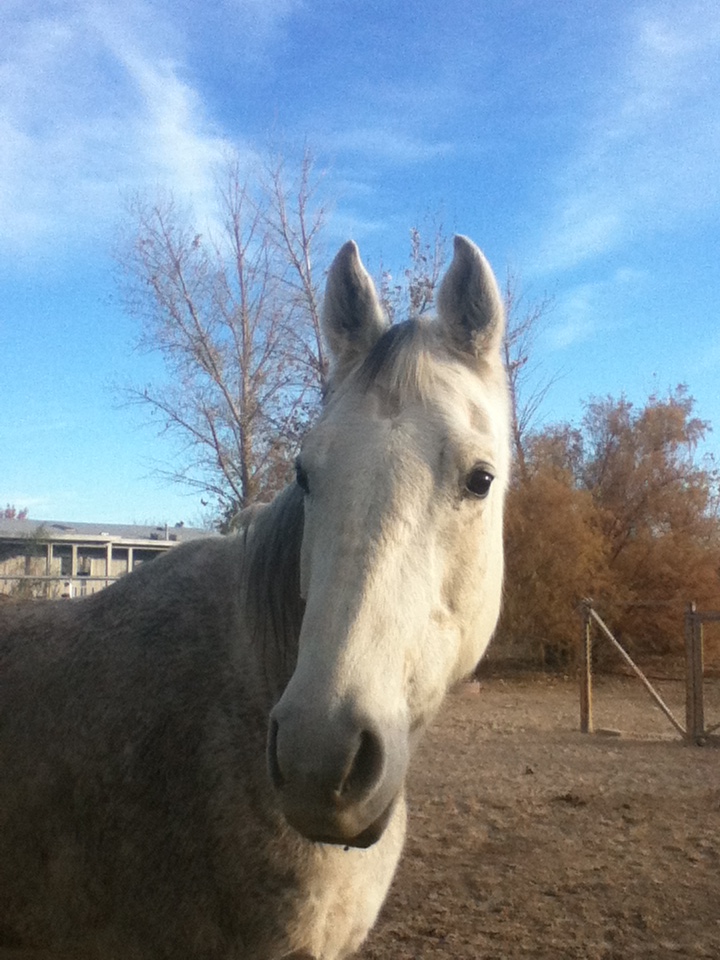 Flash looking Handsome