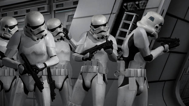 Stormtrooper Squad