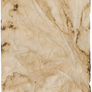Coffee Stained Aged Paper Texture 3