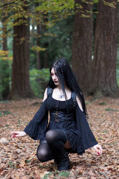 Stock - Gothic \ Fantasy - Forest Black