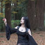 Stock - Gothic \ Fantasy - Forest Black